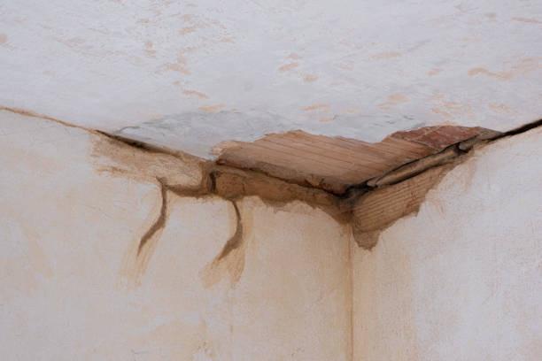 Best Water damage contractors near me  in Westby, WI