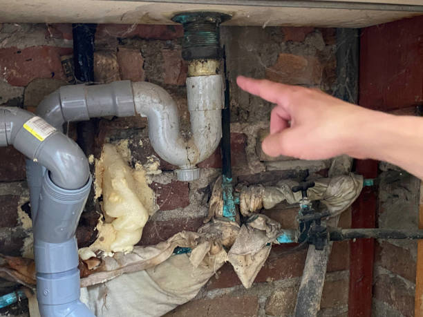 Best Water damage restoration insurance claims  in Westby, WI